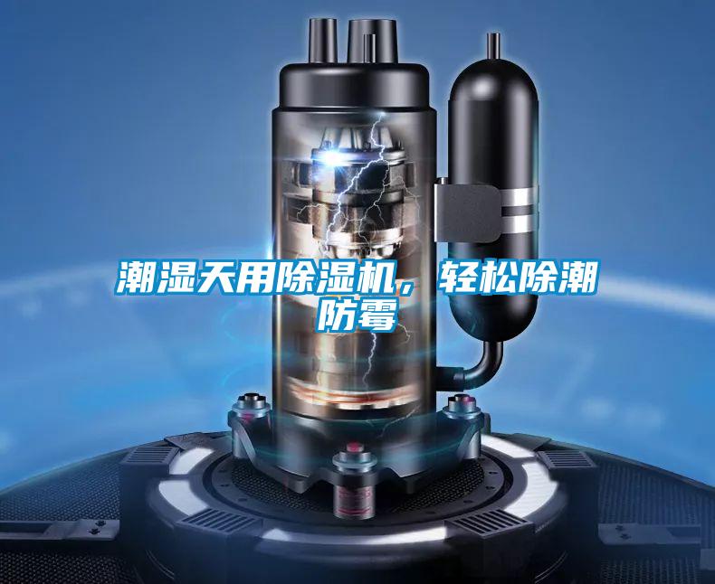 潮濕天用除濕機(jī)，輕松除潮防霉