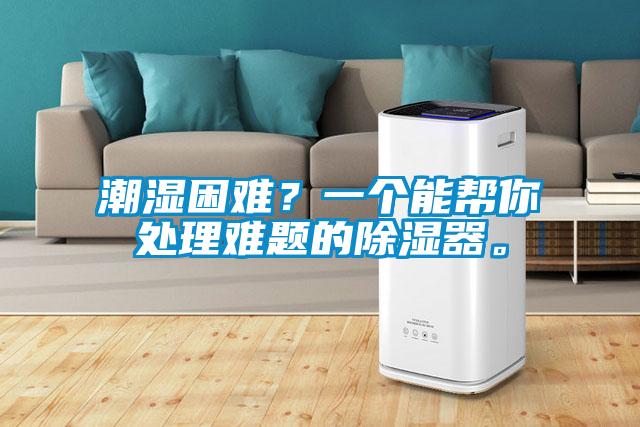 潮濕困難？一個(gè)能幫你處理難題的除濕器。
