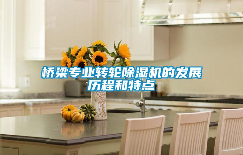 橋梁專業(yè)轉(zhuǎn)輪除濕機的發(fā)展歷程和特點