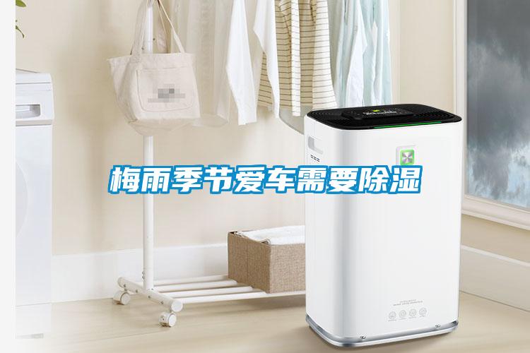 梅雨季節(jié)愛車需要除濕
