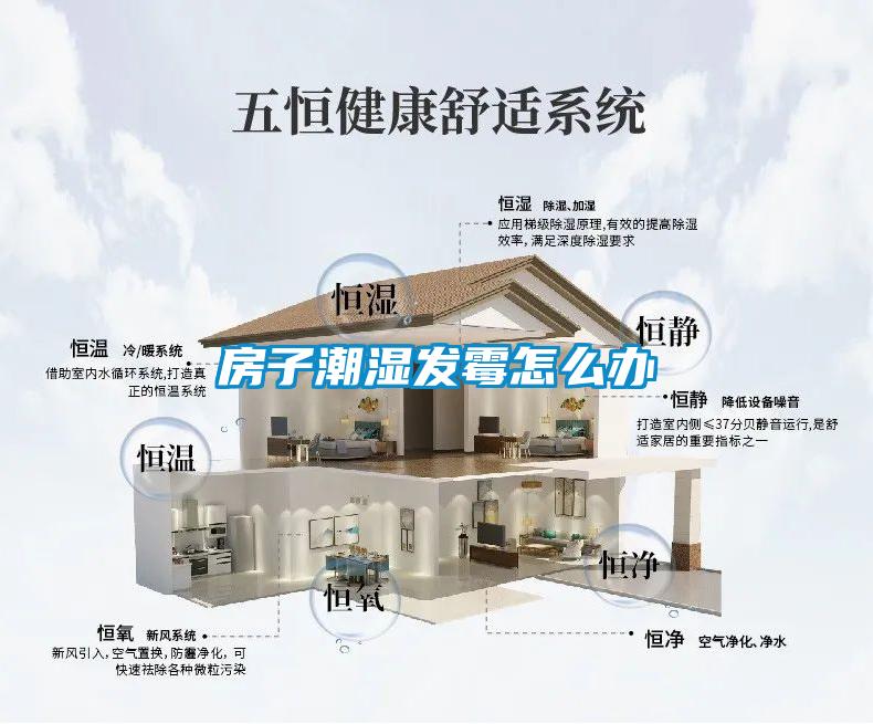 房子潮濕發(fā)霉怎么辦