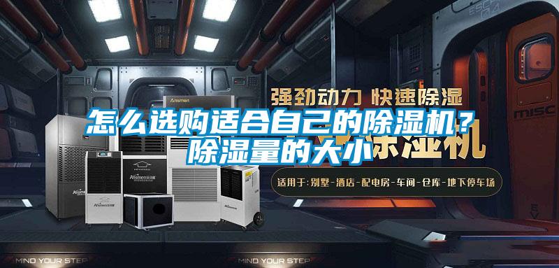 怎么選購適合自己的除濕機(jī)？除濕量的大小