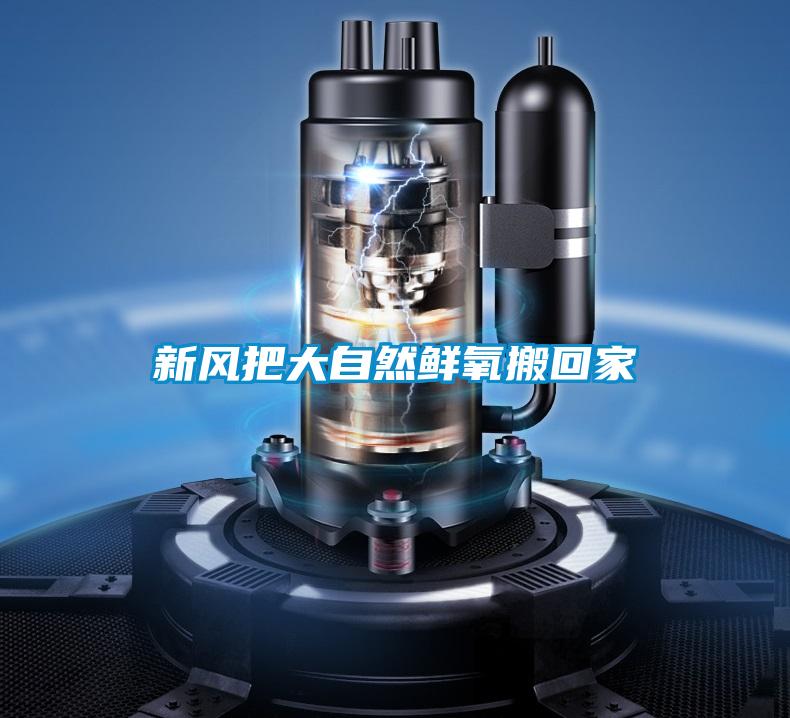 新風(fēng)把大自然鮮氧搬回家