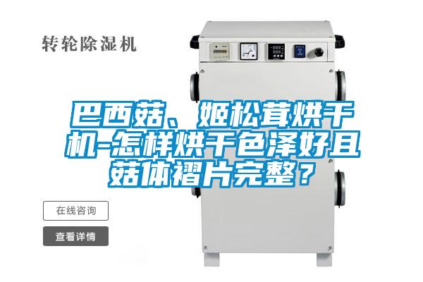 巴西菇、姬松茸烘干機(jī)-怎樣烘干色澤好且菇體褶片完整？