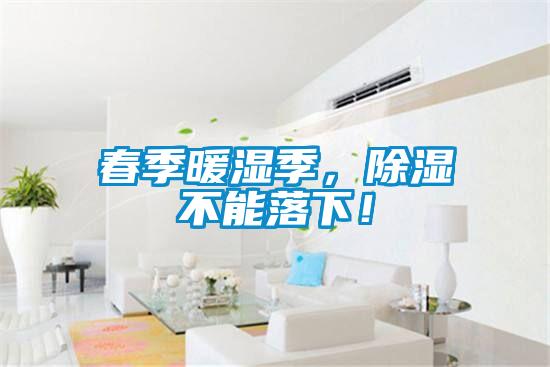 春季暖濕季，除濕不能落下！