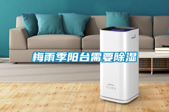 梅雨季陽臺(tái)需要除濕