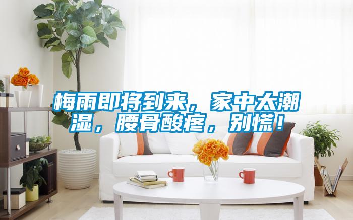 梅雨即將到來，家中太潮濕，腰骨酸疼，別慌！