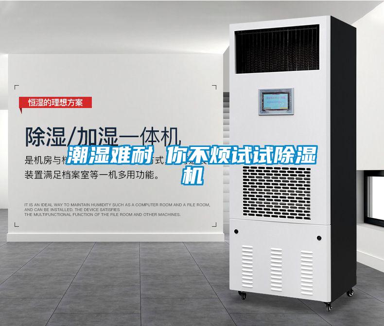 潮濕難耐 你不煩試試除濕機