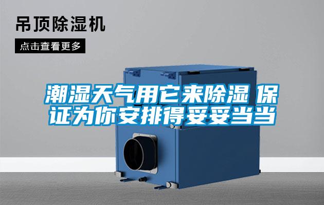 潮濕天氣用它來(lái)除濕　保證為你安排得妥妥當(dāng)當(dāng)