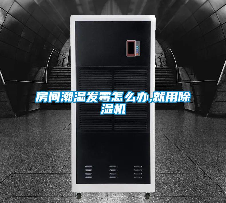 房間潮濕發(fā)霉怎么辦,就用除濕機(jī)