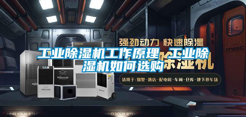 工業(yè)除濕機工作原理 工業(yè)除濕機如何選購