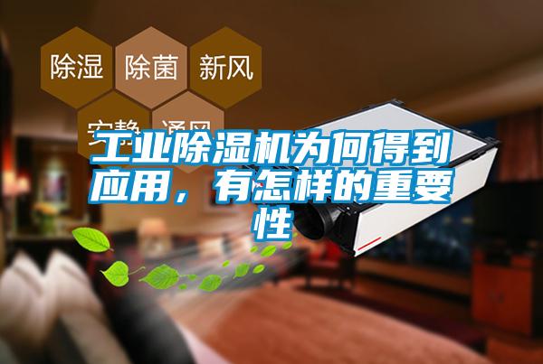 工業(yè)除濕機(jī)為何得到應(yīng)用，有怎樣的重要性