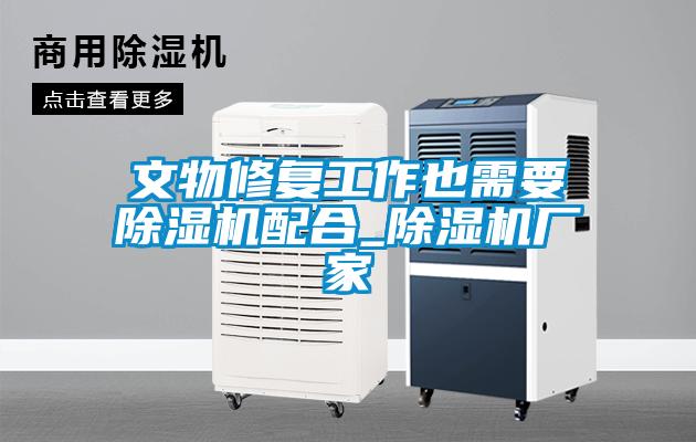 文物修復(fù)工作也需要除濕機配合_除濕機廠家
