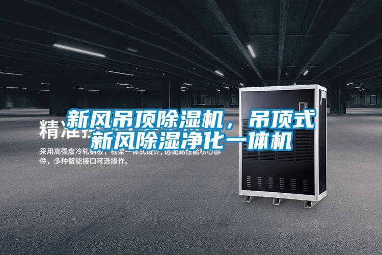 新風(fēng)吊頂除濕機(jī)，吊頂式新風(fēng)除濕凈化一體機(jī)