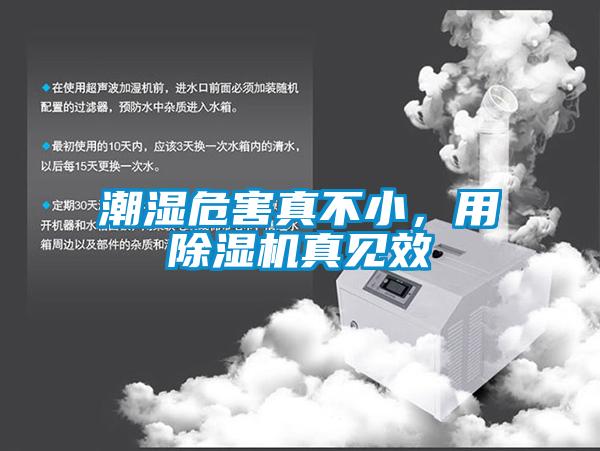 潮濕危害真不小，用除濕機真見效