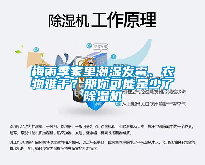 梅雨季家里潮濕發(fā)霉、衣物難干？那你可能是少了除濕機(jī)