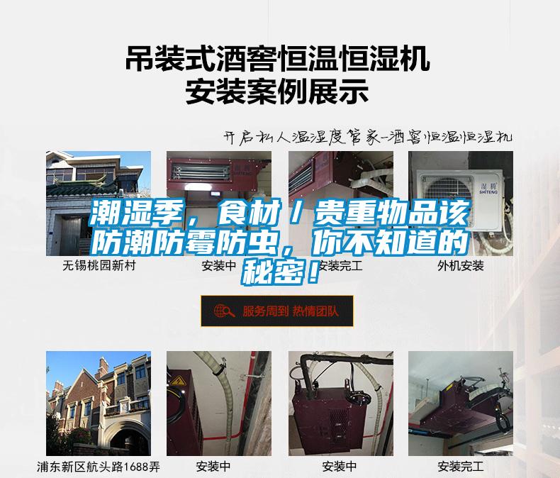 潮濕季，食材／貴重物品該防潮防霉防蟲，你不知道的秘密！