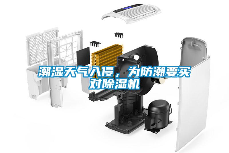 潮濕天氣入侵，為防潮要買對(duì)除濕機(jī)