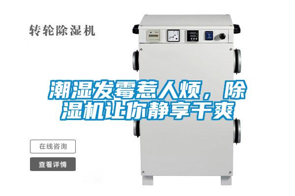 潮濕發(fā)霉惹人煩，除濕機(jī)讓你靜享干爽