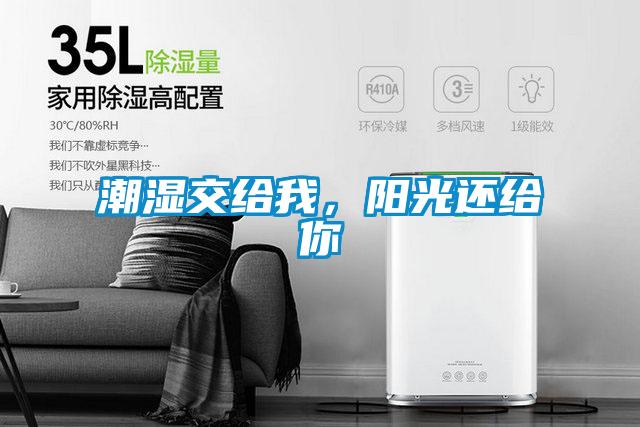 潮濕交給我，陽光還給你