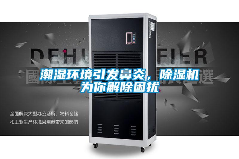 潮濕環(huán)境引發(fā)鼻炎，除濕機為你解除困擾