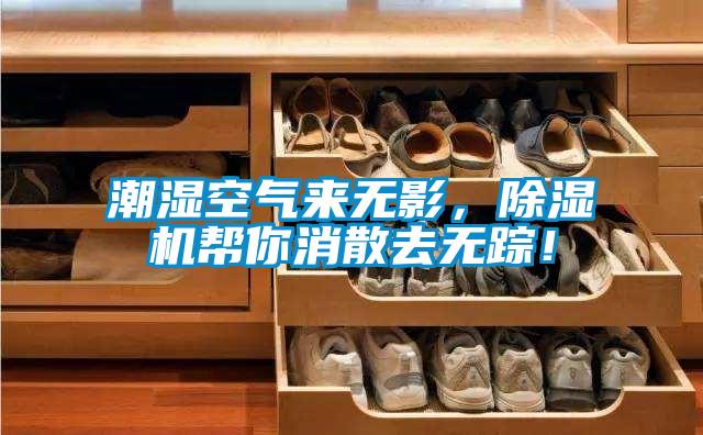 潮濕空氣來無影，除濕機(jī)幫你消散去無蹤！