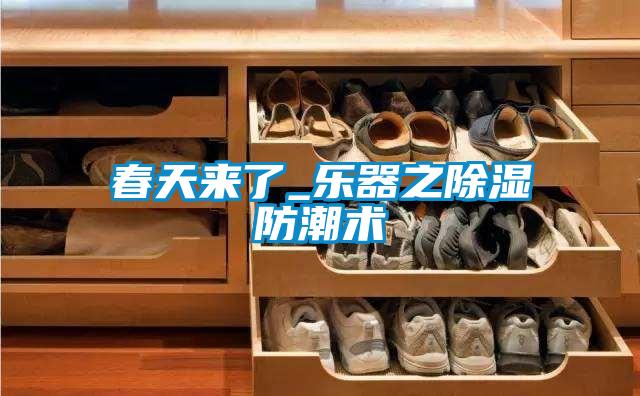 春天來(lái)了_樂(lè)器之除濕防潮術(shù)