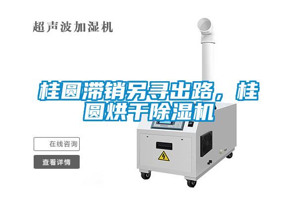 桂圓滯銷另尋出路，桂圓烘干除濕機