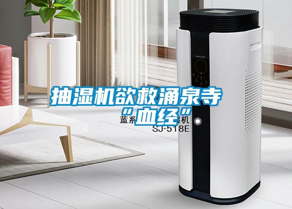 抽濕機欲救涌泉寺“血經(jīng)”