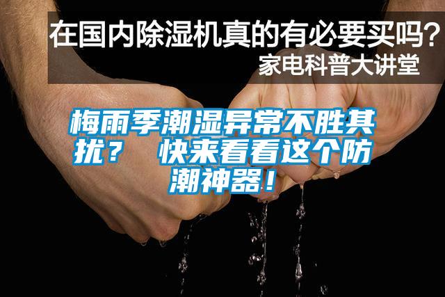 梅雨季潮濕異常不勝其擾？ 快來看看這個防潮神器！
