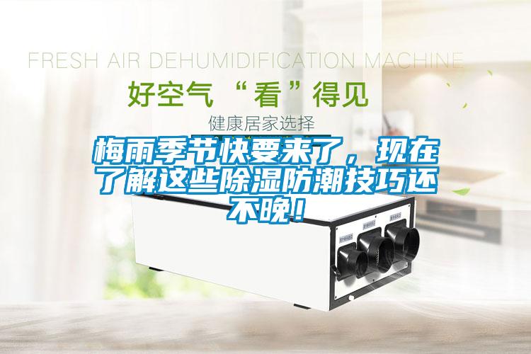 梅雨季節(jié)快要來(lái)了，現(xiàn)在了解這些除濕防潮技巧還不晚！