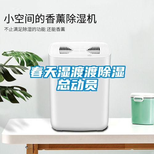 春天濕渡渡除濕總動員