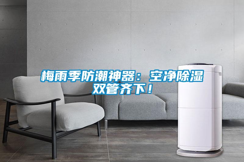 梅雨季防潮神器：空凈除濕雙管齊下！