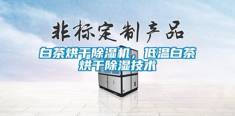 白茶烘干除濕機，低溫白茶烘干除濕技術(shù)