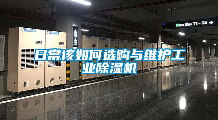 日常該如何選購與維護工業(yè)除濕機
