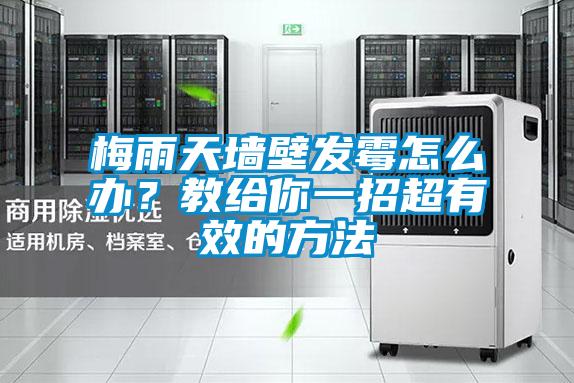 梅雨天墻壁發(fā)霉怎么辦？教給你一招超有效的方法