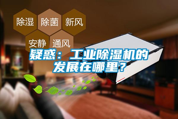 疑惑：工業(yè)除濕機(jī)的發(fā)展在哪里？