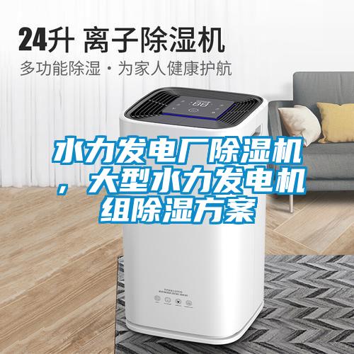 水力發(fā)電廠除濕機(jī)，大型水力發(fā)電機(jī)組除濕方案