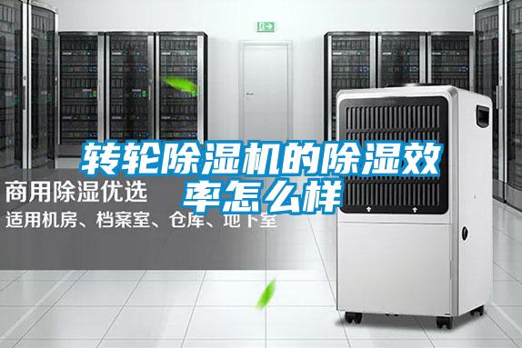 轉(zhuǎn)輪除濕機的除濕效率怎么樣