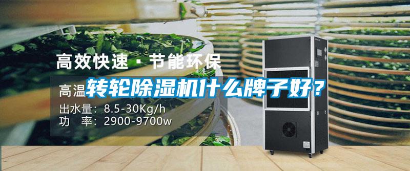 轉(zhuǎn)輪除濕機(jī)什么牌子好？