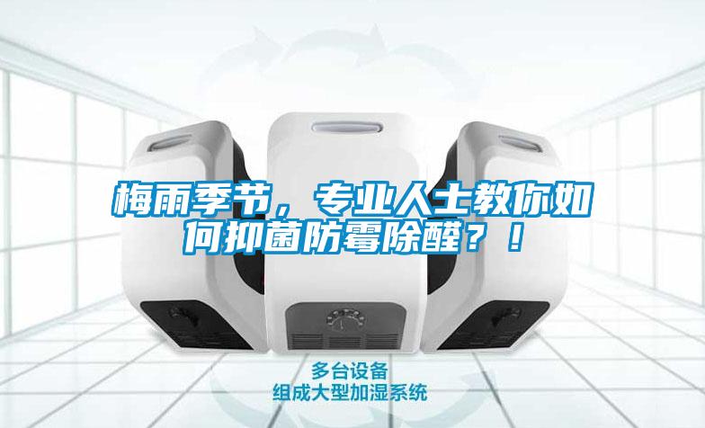 梅雨季節(jié)，專業(yè)人士教你如何抑菌防霉除醛？！