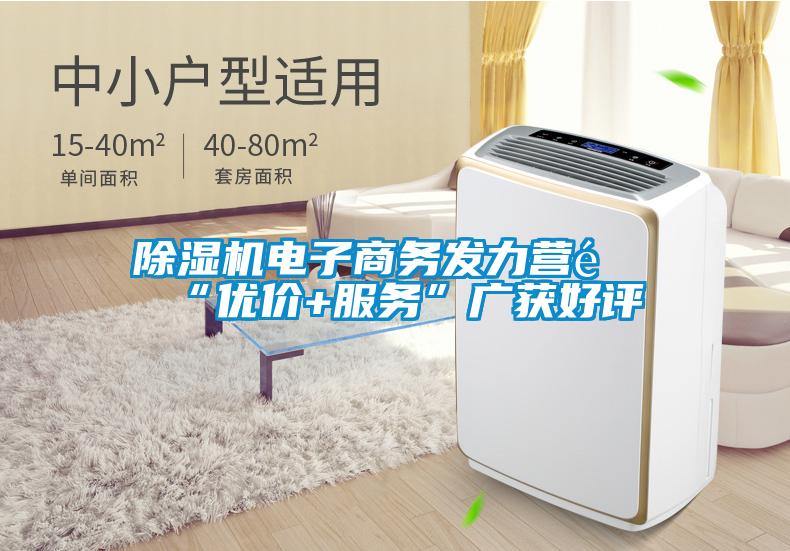 除濕機(jī)電子商務(wù)發(fā)力營銷“優(yōu)價(jià)+服務(wù)”廣獲好評