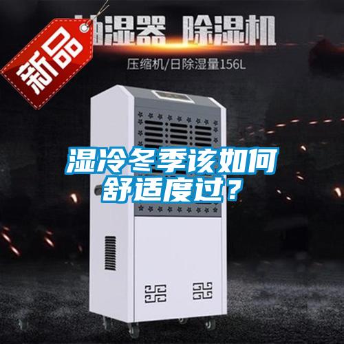 濕冷冬季該如何舒適度過？