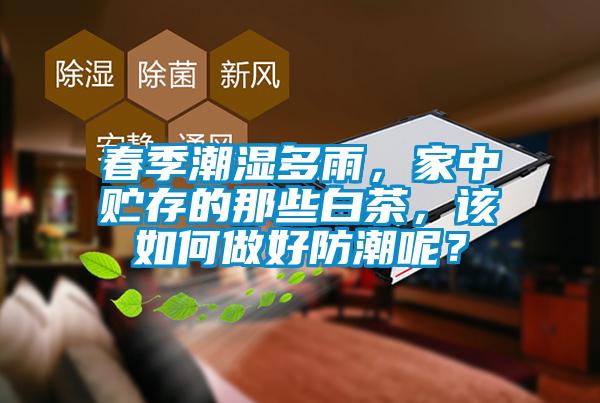 春季潮濕多雨，家中貯存的那些白茶，該如何做好防潮呢？
