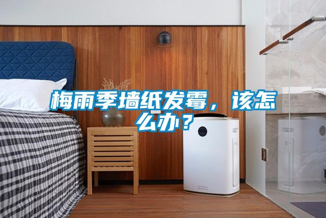 梅雨季墻紙發(fā)霉，該怎么辦？