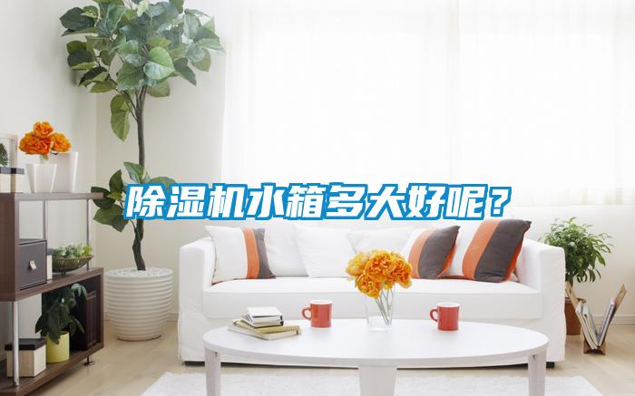 除濕機(jī)水箱多大好呢？