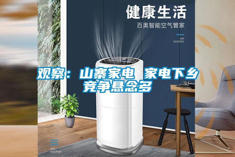 觀察：山寨家電 家電下鄉(xiāng)競爭懸念多