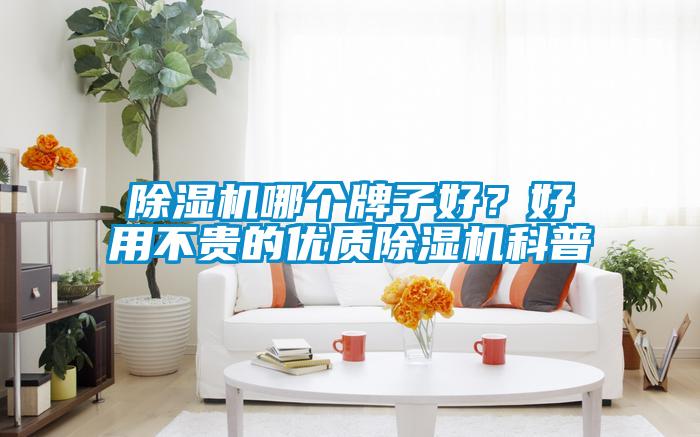 除濕機(jī)哪個(gè)牌子好？好用不貴的優(yōu)質(zhì)除濕機(jī)科普