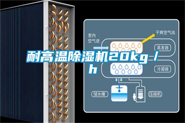 耐高溫除濕機(jī)20kg／h