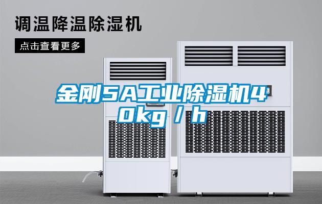 金剛5A工業(yè)除濕機40kg／h